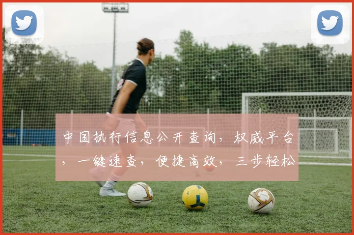 中国执行信息公开查询，权威平台，一键速查，便捷高效，三步轻松搞定，不容错过