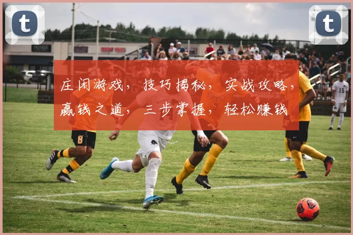 庄闲游戏，技巧揭秘，实战攻略，赢钱之道，三步掌握，轻松赚钱