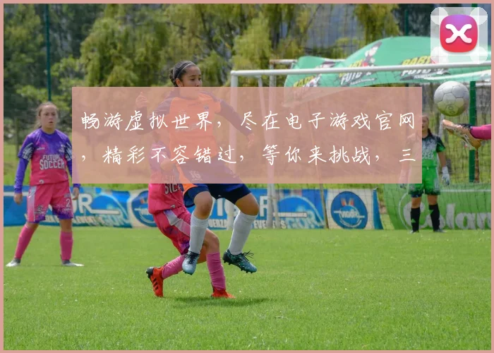畅游虚拟世界，尽在电子游戏官网，精彩不容错过，等你来挑战，三大亮点，体验非凡